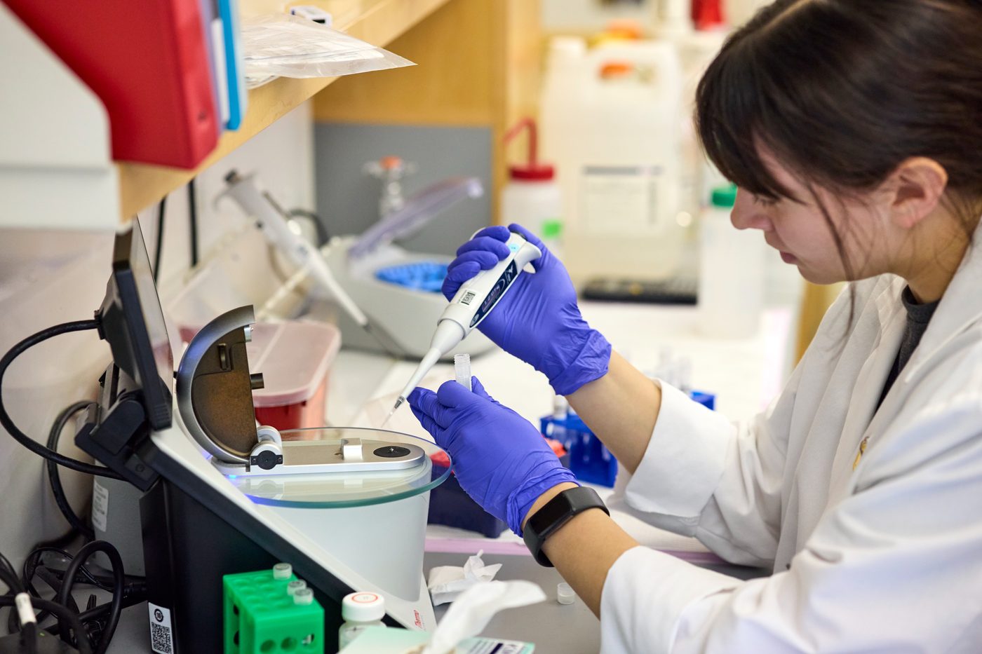 Researcher pipetting cell line samples in the laboratory